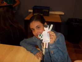 BRIÑAS DBH 1A-B